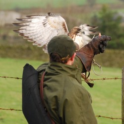 Carry Case Padded For Receiver With Standard Folding Yagi