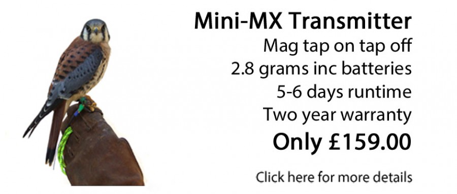 Mini MX